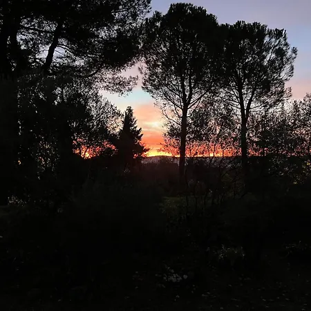 Grand Cedre Villa